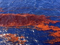 noaa-oil-spill-gulf-water-photo1